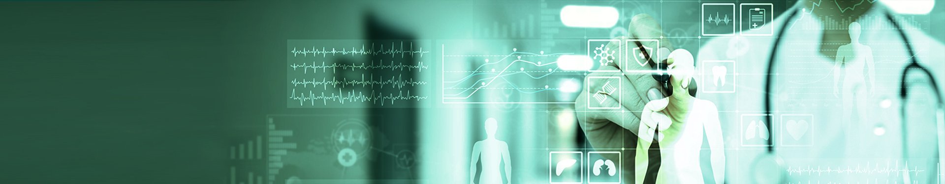 bannerHP